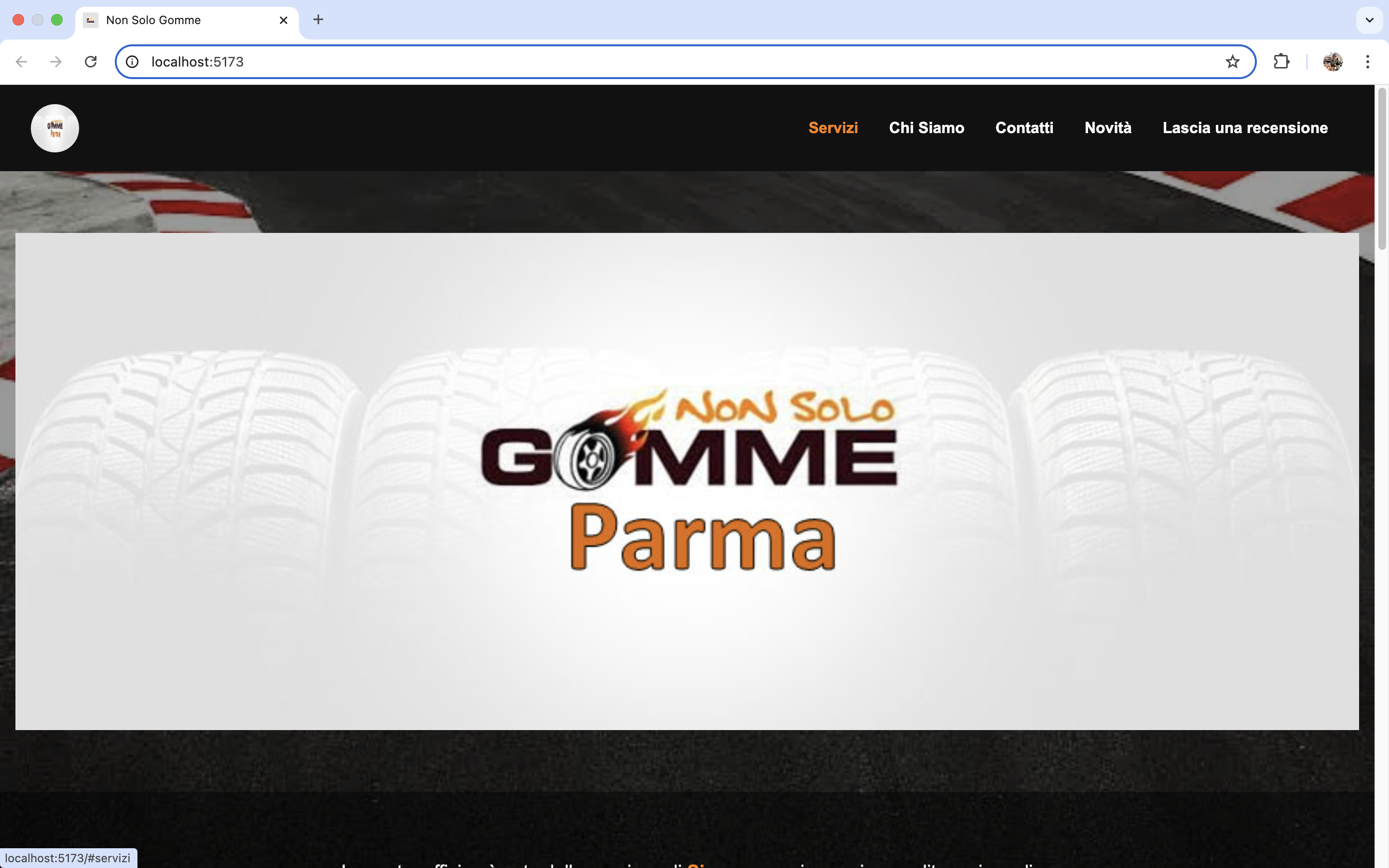 Anteprima progetto Non Solo Gomme